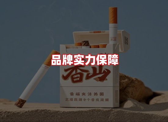 专业团队